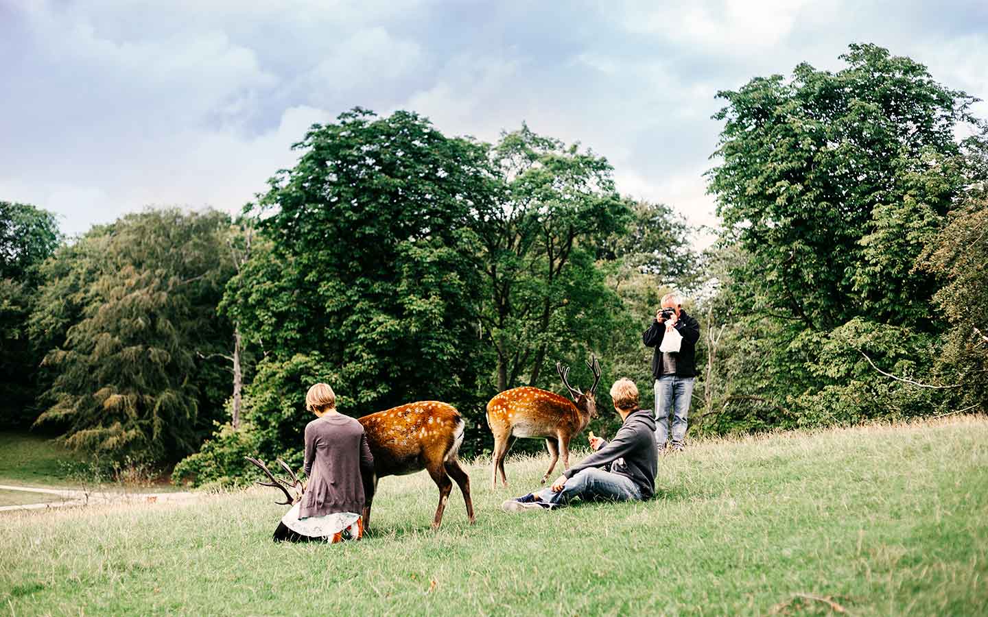 Animals